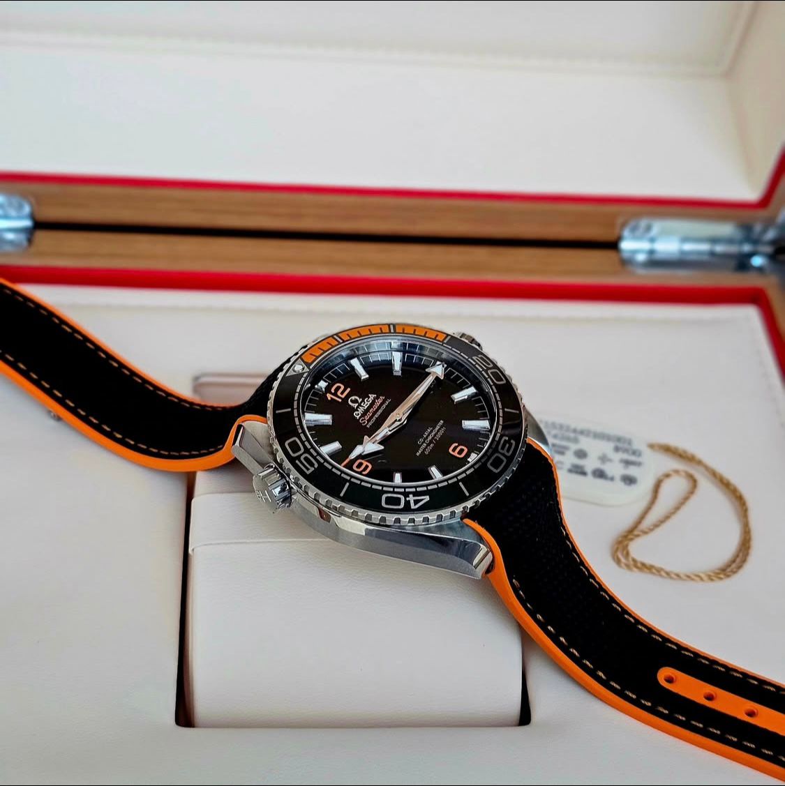 Seamaster Planet Ocean