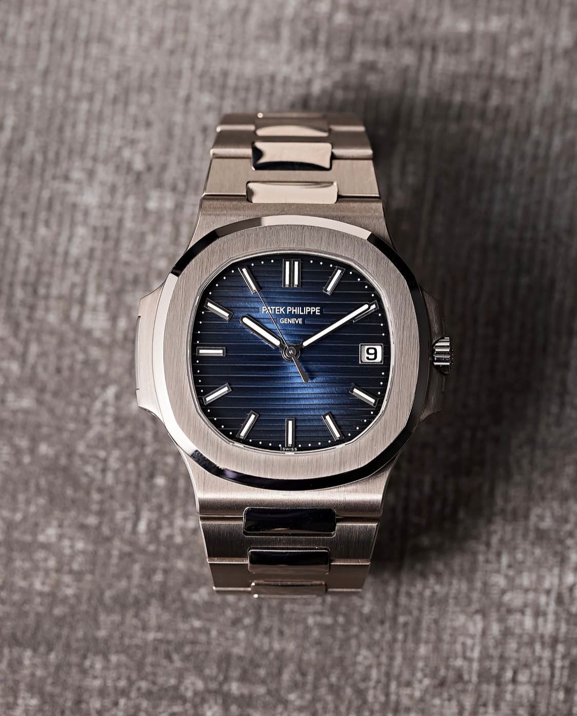 Nautilus 'Blue Gradient'