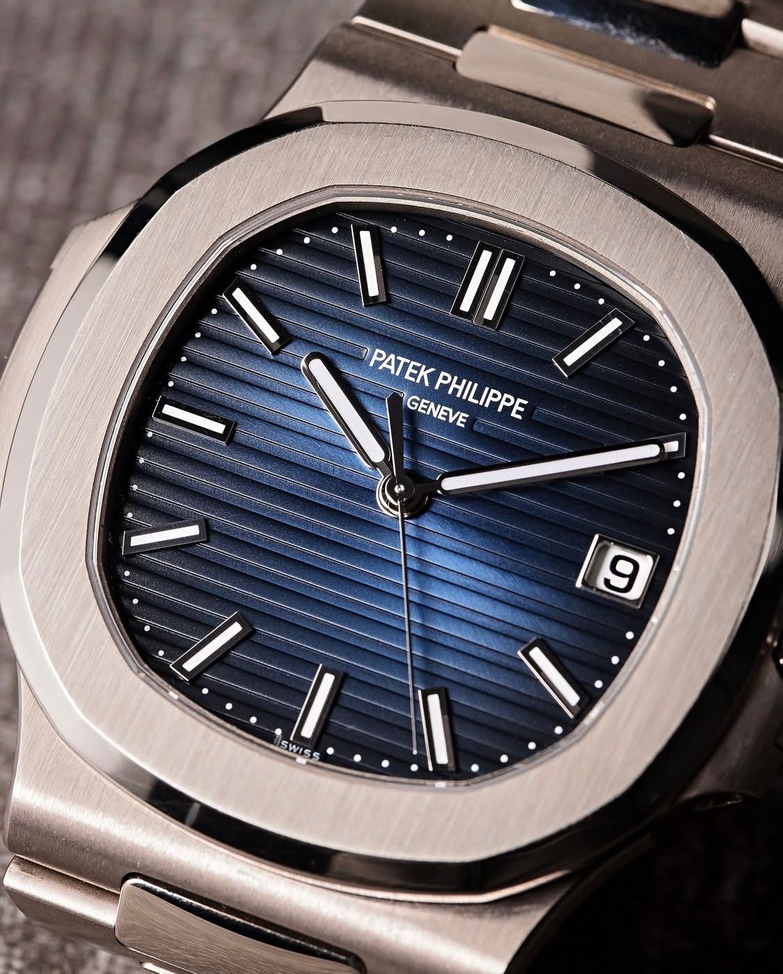 Nautilus 'Blue Gradient'