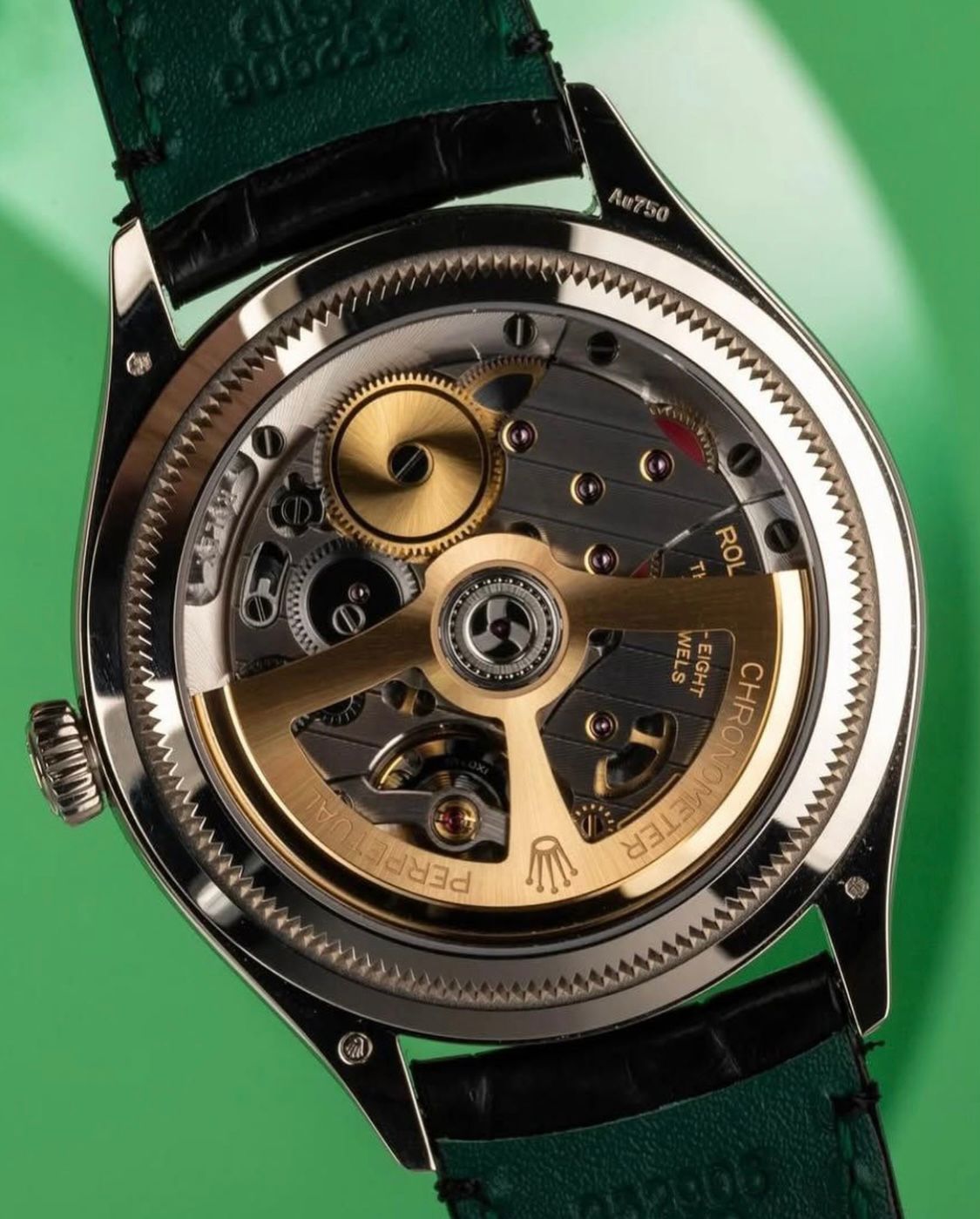 Perpetual 1908 "White Gold"