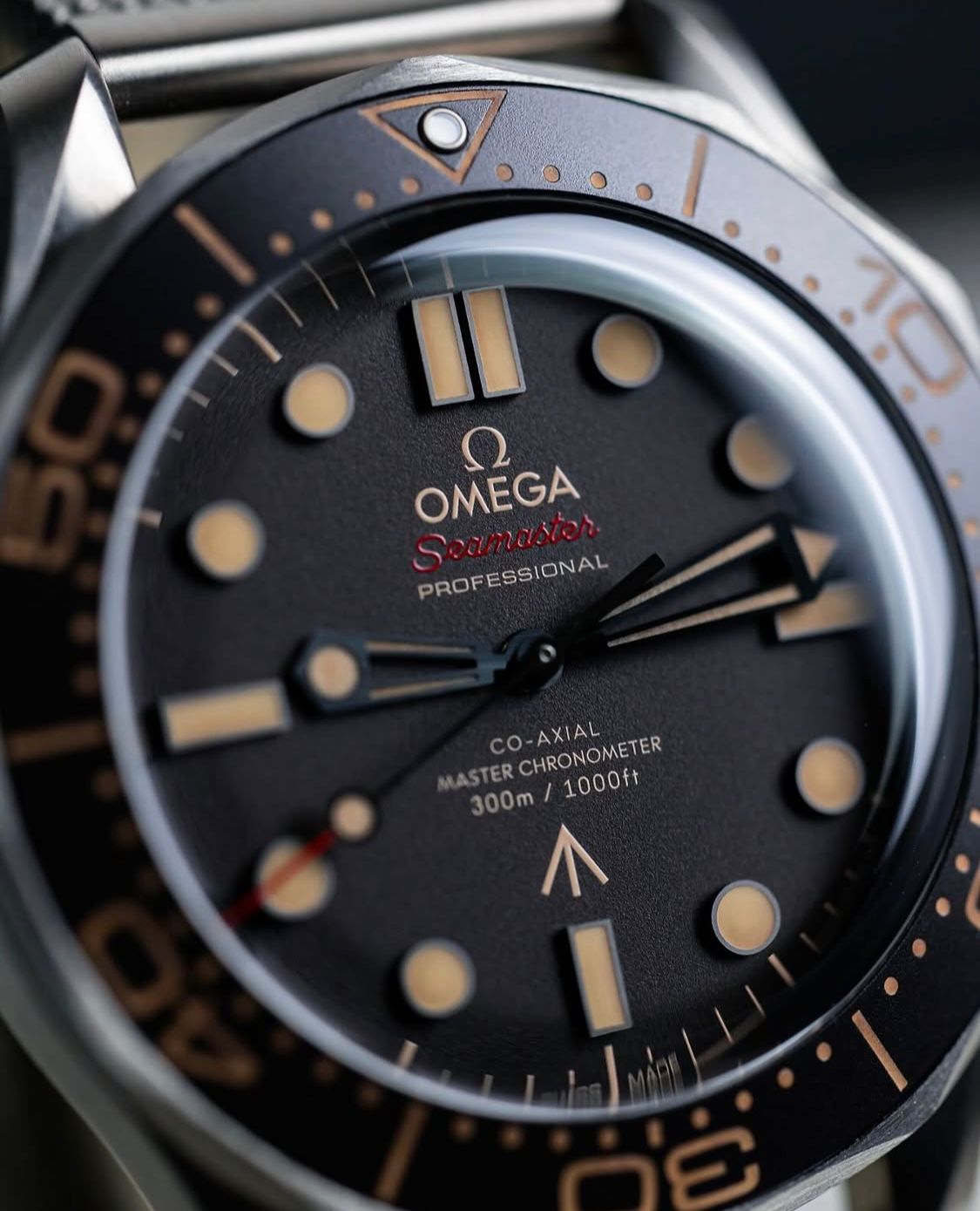 Seamaster Diver 007 Edition Collector’s